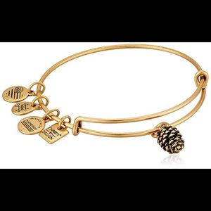 Pine Cone Alex and Ani